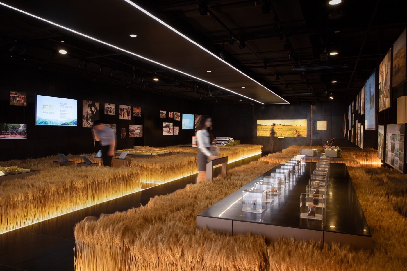 RECONSTRUCTING HISTORICAL SECTIONS